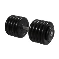 Гантель Профи с вращающейся ручкой, 53,5 кг MB Barbell MB-FdbM-B53,5