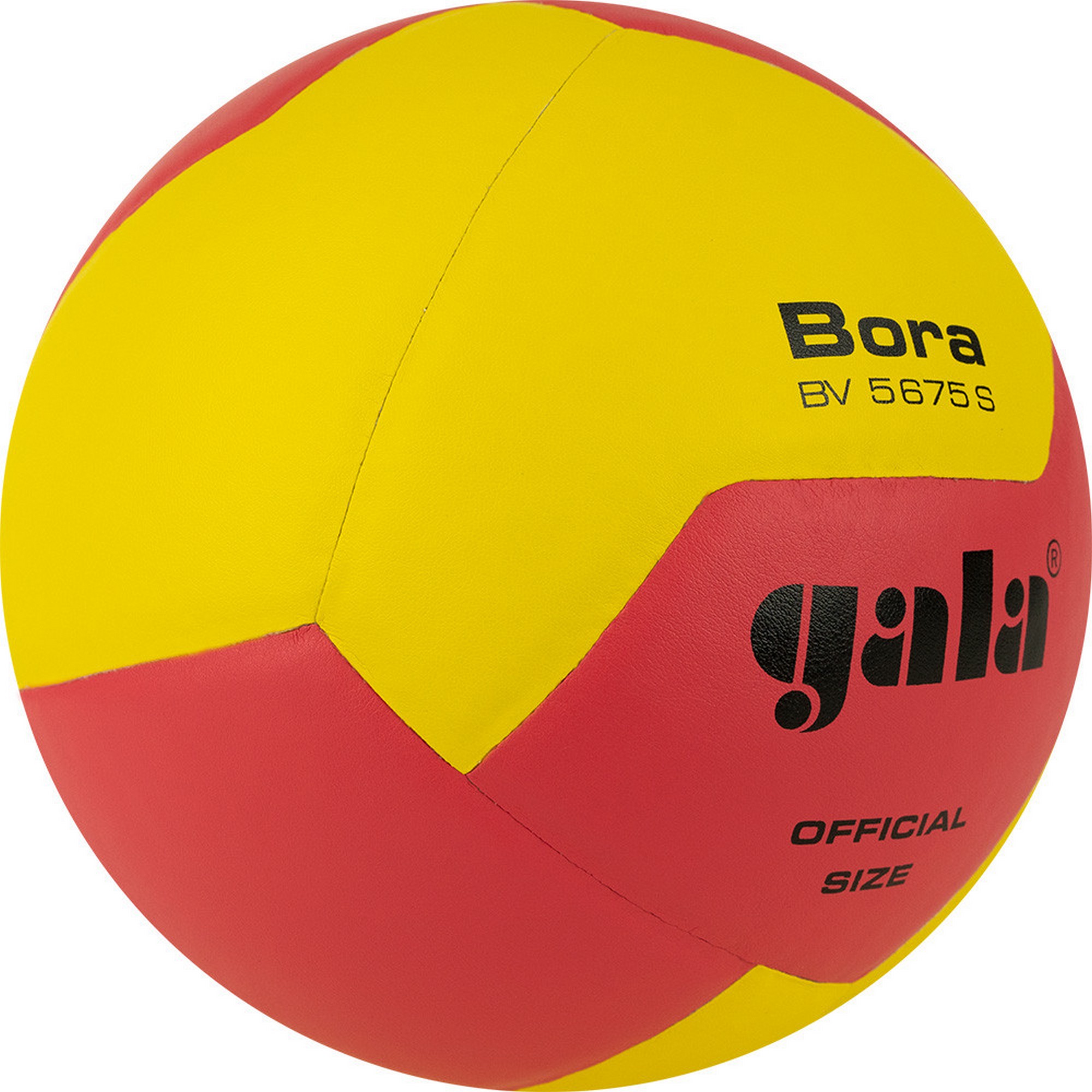 Мяч волейбольный Gala Bora 12 BV5675S р. 5 2000_2000