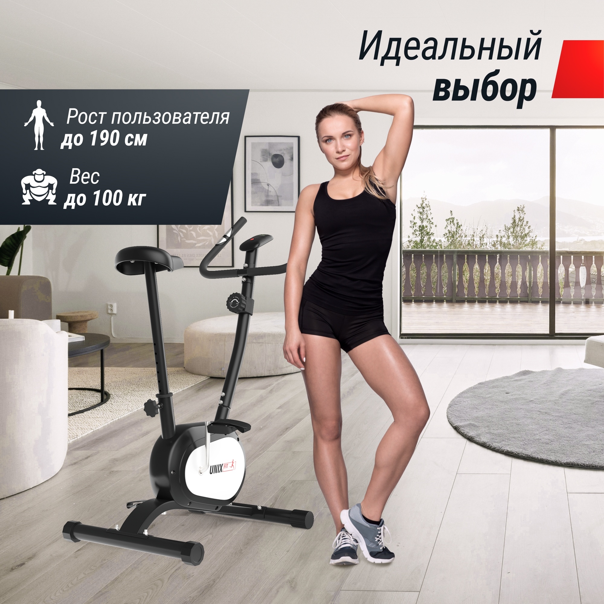 Велотренажер UnixFit BL-250 2000_2000