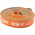 Эспандер для фитнеса замкнутый 10-30кг Harper Gym Pro Series NT18008 120_120